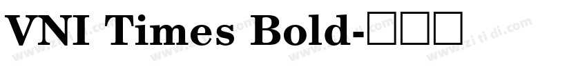 VNI Times Bold字体转换